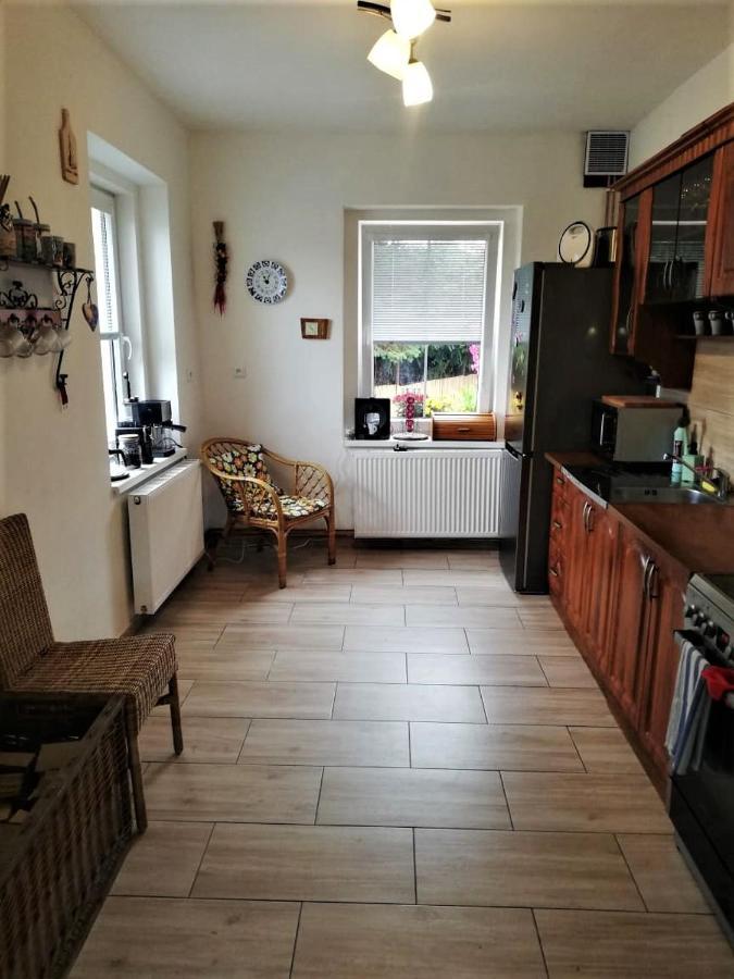 Ubytovani U Rybnicka Villa Arnoltice u Decina Екстериор снимка