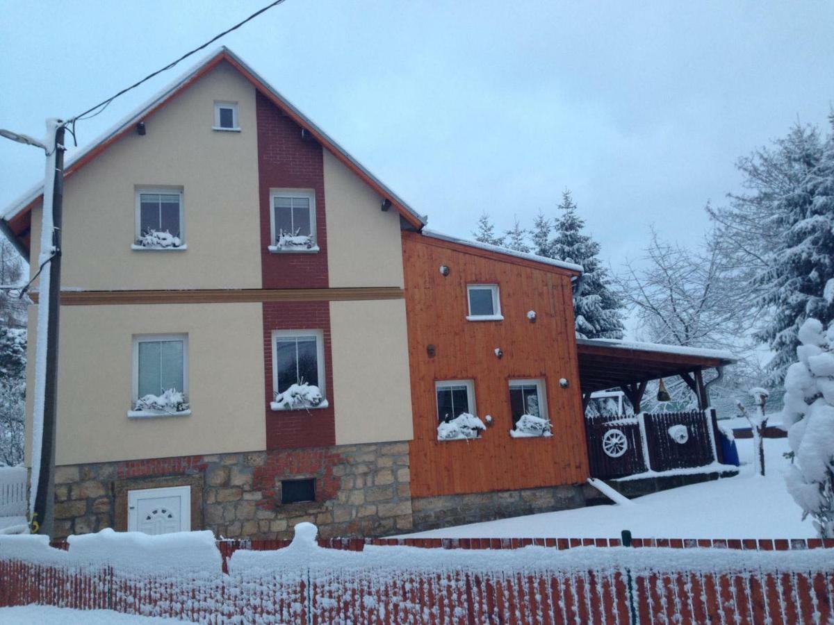 Ubytovani U Rybnicka Villa Arnoltice u Decina Екстериор снимка