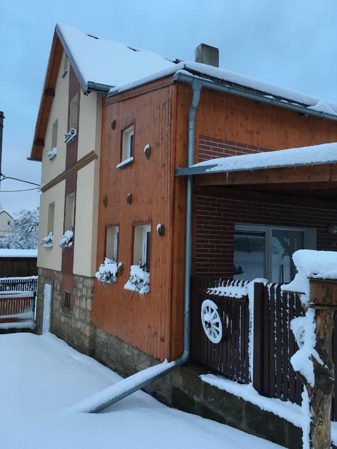 Ubytovani U Rybnicka Villa Arnoltice u Decina Екстериор снимка